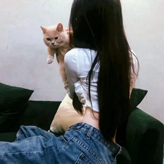 风云决